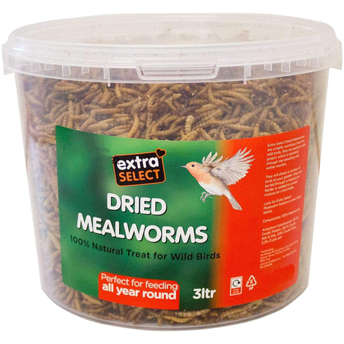 Extra Select MealWorms Wild Bird Food Tub