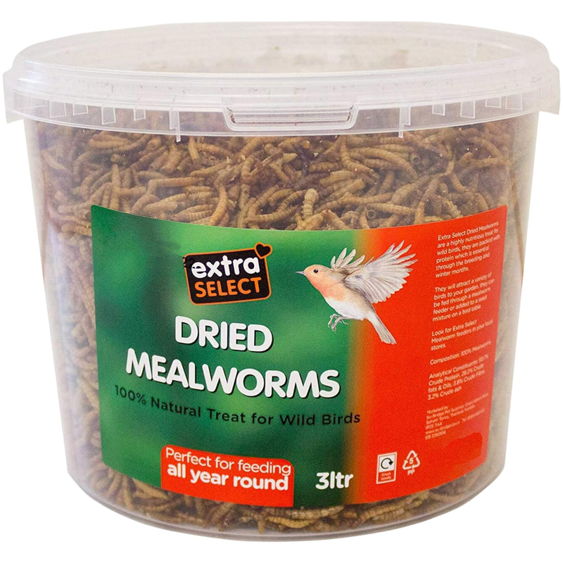 Load image into Gallery viewer, Extra Select MealWorms Wild Bird Food Tub
