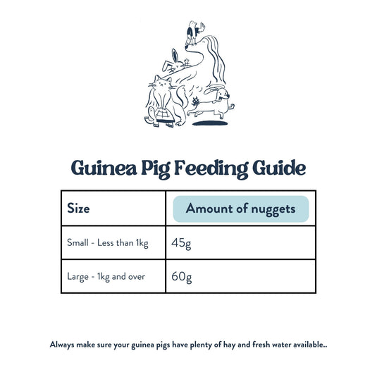 Feeding Guide