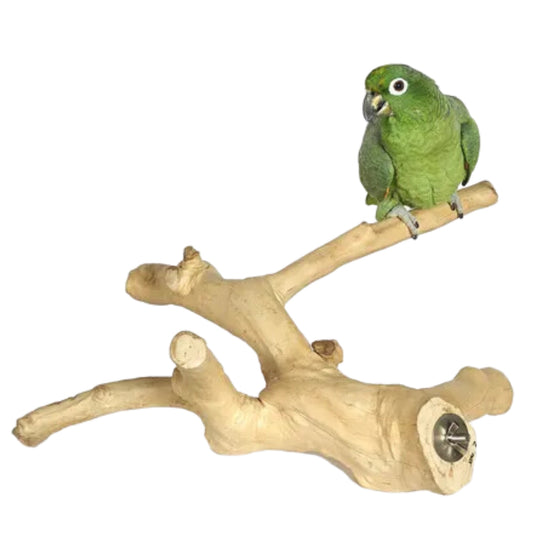 Large Java multi-branch perch made from natural wood, ideal for parrots