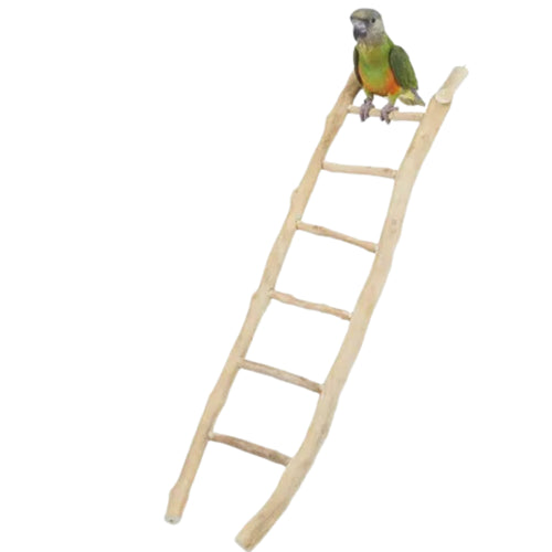 60cm Java Ladder