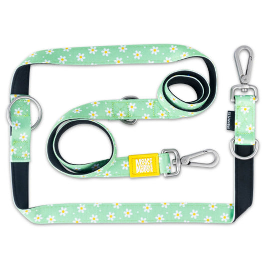 Max & Molly Multi-functional Leash