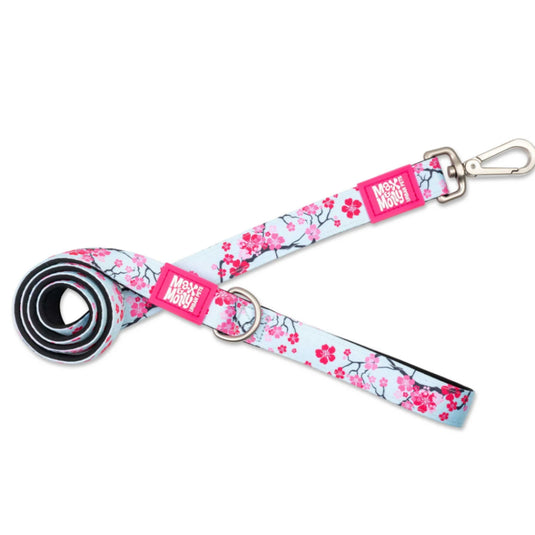 Max & Molly  Original Gear Short Lead