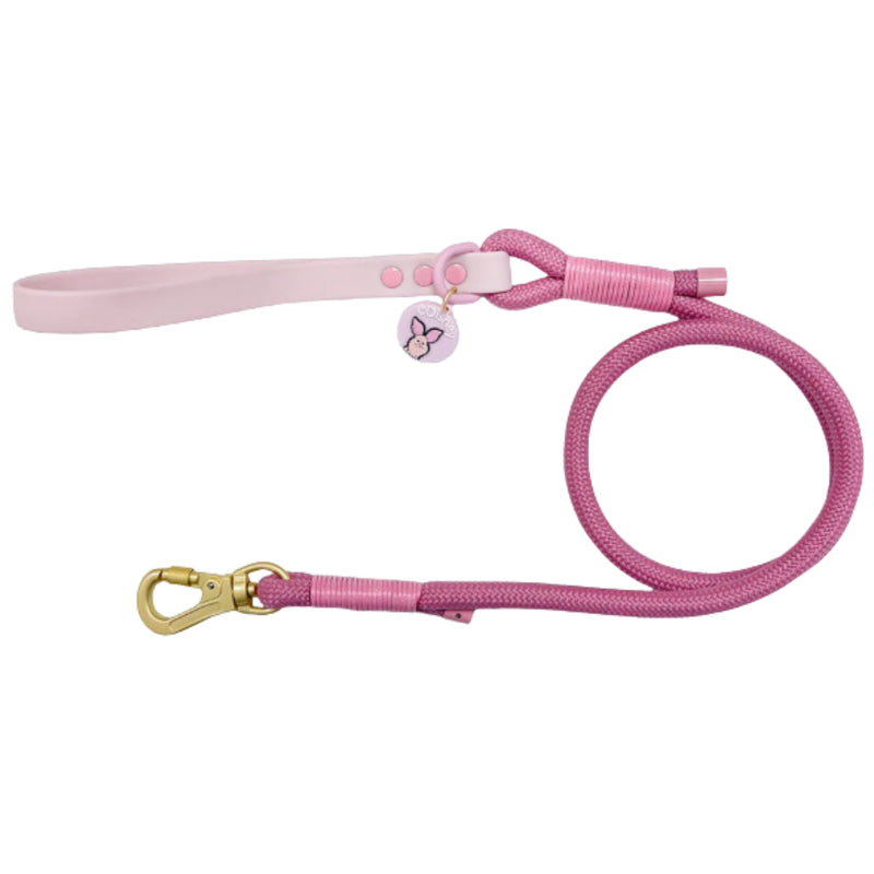 Load image into Gallery viewer, Pawsome Boutique Winne the Pooh Rope Lead
