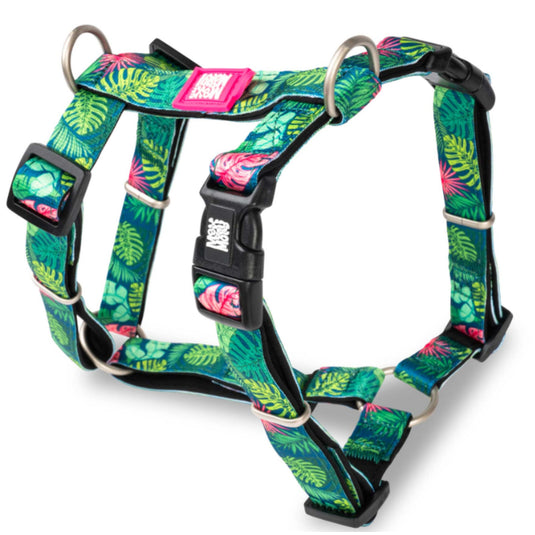 Max & Molly H-Harness