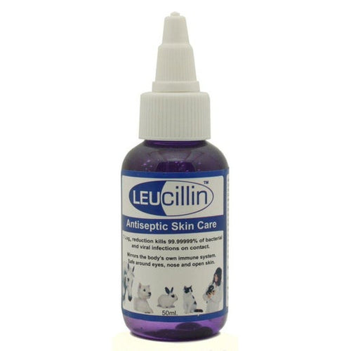 Leucillin Antibacterial Dropper 50ml