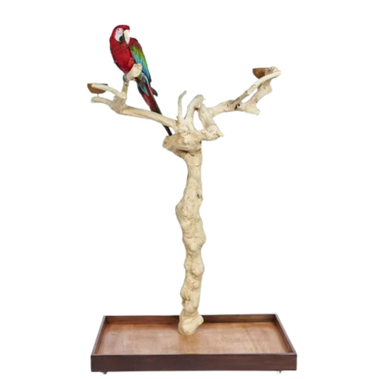 Java Tree II Large Parrot Stand