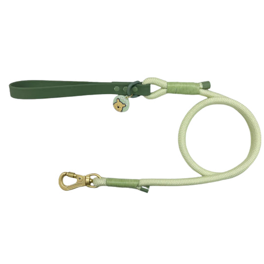 Pawsome Boutique Winne the Pooh Rope Lead