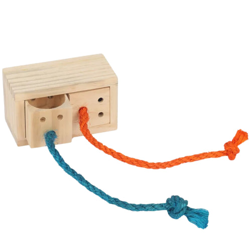 Hidden Treat Cube – Stimulating Foraging Toy for Birds