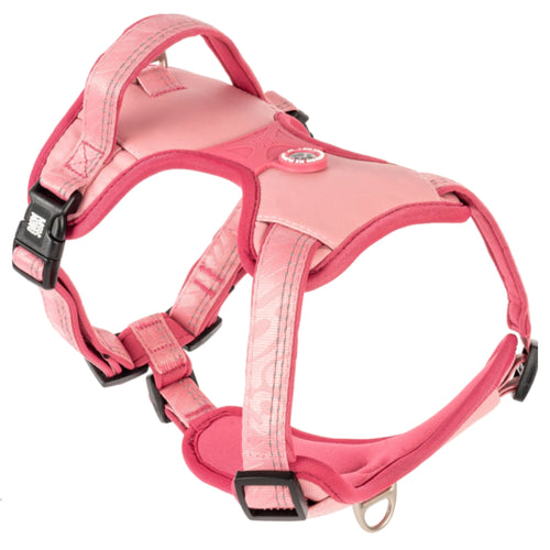 Max & Molly Matrix 2.0 GOTCHA! Smart ID Sport Harness