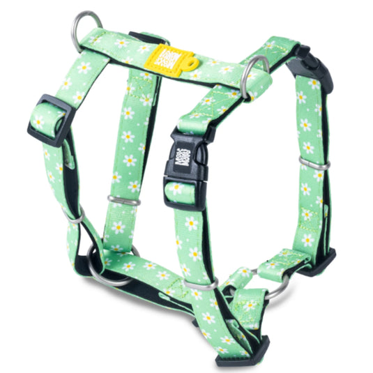 Max & Molly H-Harness