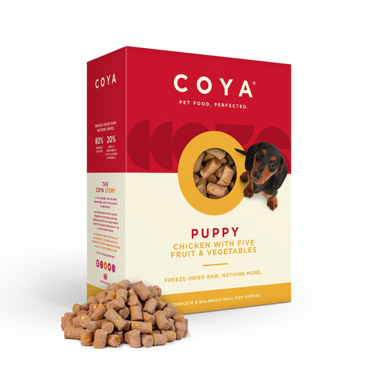 Coya Puppy Dry Dog Food - Chicken, Fruits & Veg