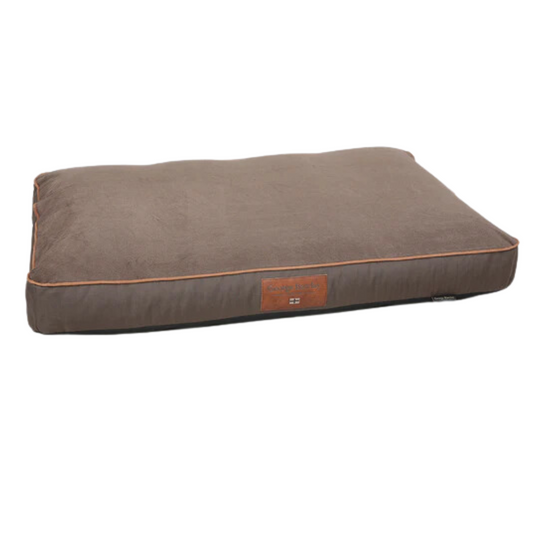 Dog Beds & Bedding