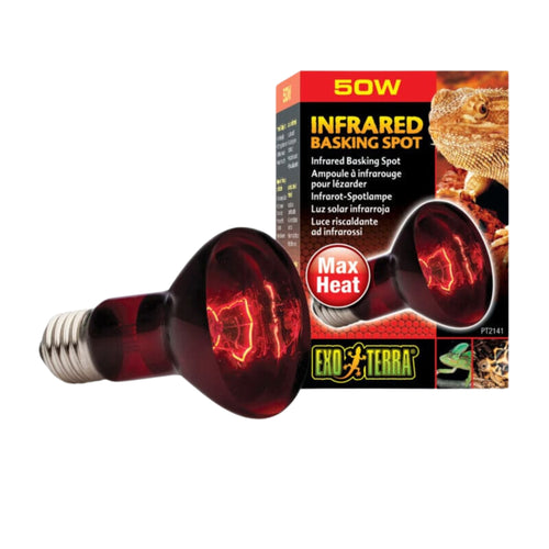 Exo-Terra Infrared Bulb