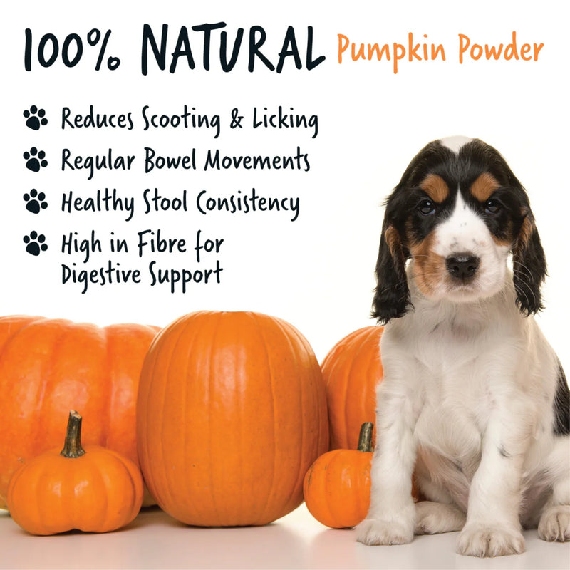 Load image into Gallery viewer, Bugalugs Pumpkin Powder for Dogs 200g
