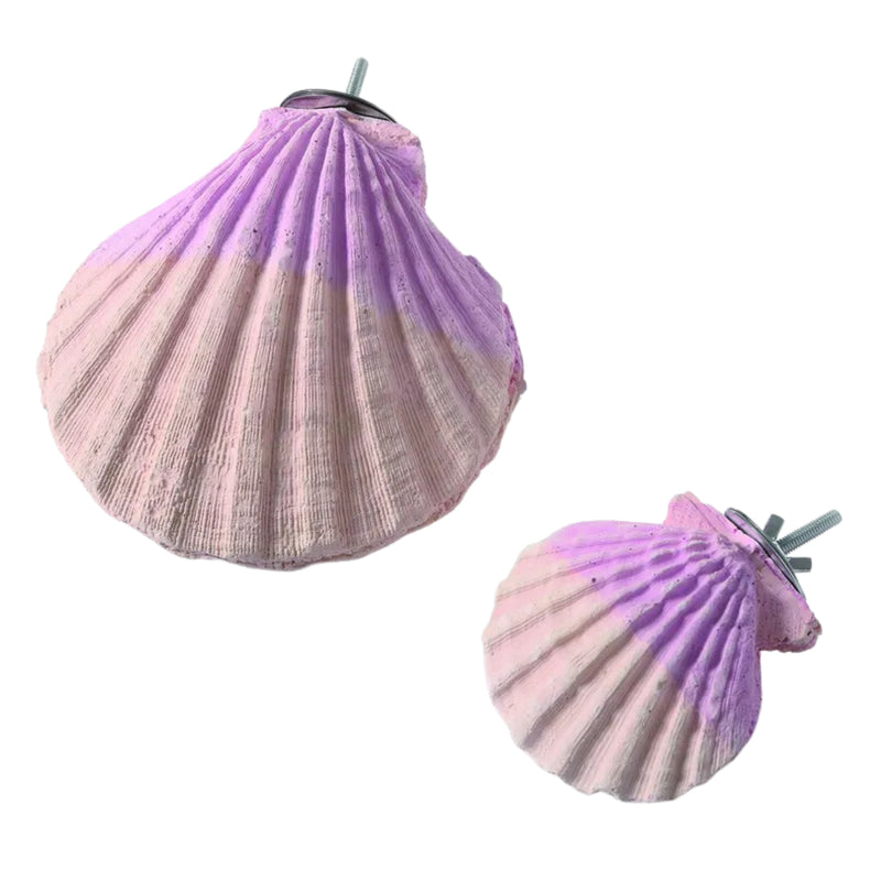Load image into Gallery viewer, Edible Calcium Clam Small – Natural and Nutritious Bird Treat
