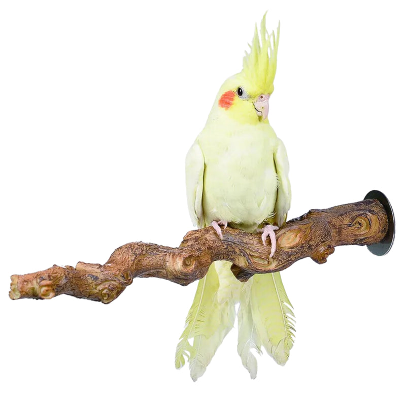 Load image into Gallery viewer, Grape Vine Perch Medium
