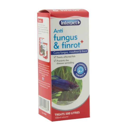 Interpet Anti Fungus 100ml