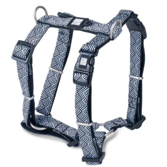 Max & Molly H-Harness