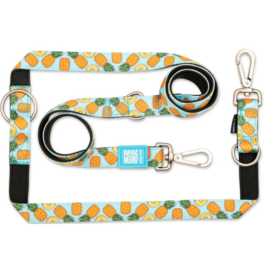 Max & Molly Multi-functional Leash