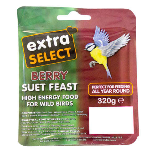 Extra Select Berry Suet Block 320g