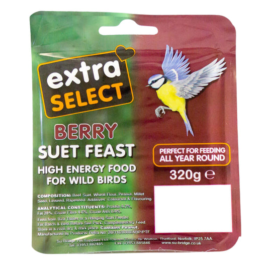 Extra Select Berry Suet Block 320g