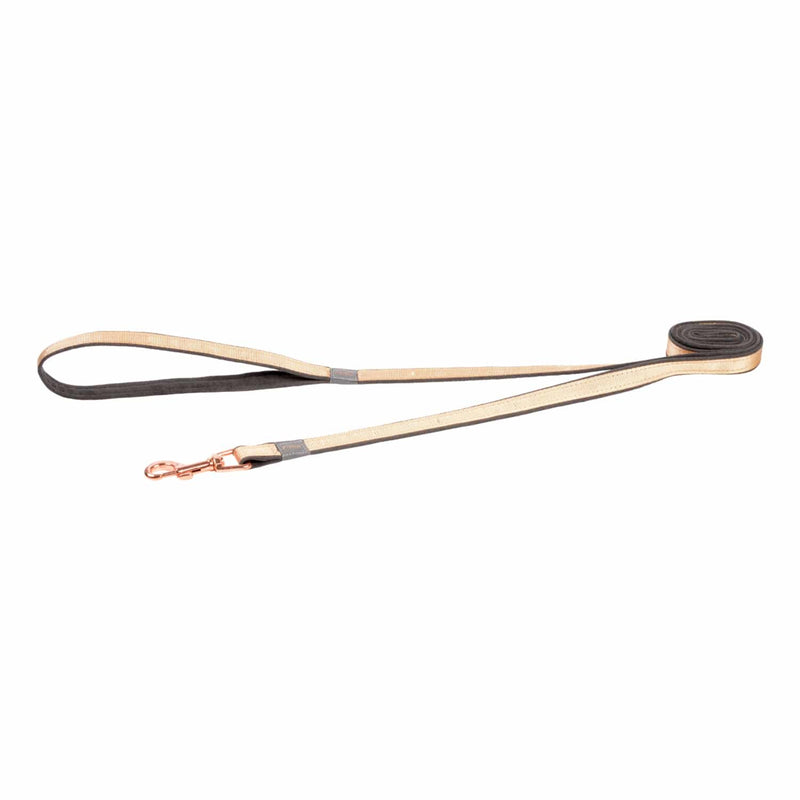 Load image into Gallery viewer, Rogz Urban Classic Dog Lead – Soft Webbing, Secure Metal Clip, and Stylish Design for Everyday Walks
