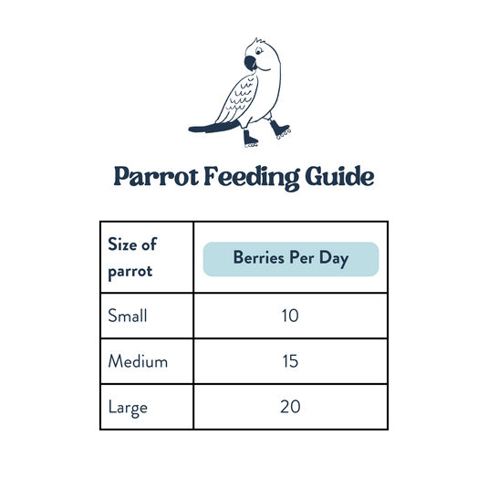 Feeding Guide