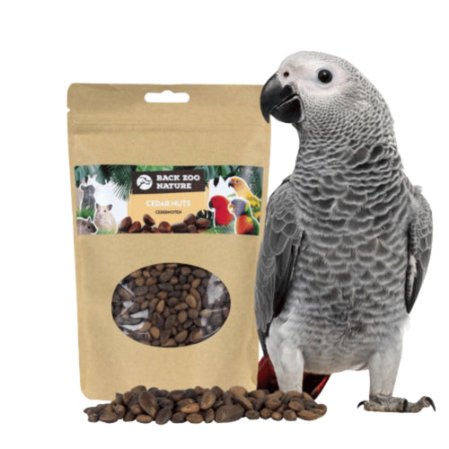 Back Zoo Nature Cedar Nuts 200g bird treat for parrots
