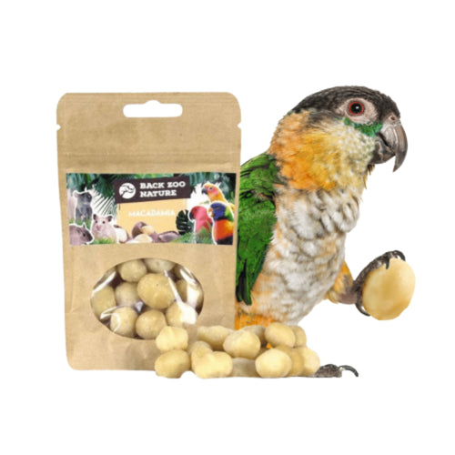 Back Zoo Nature Macadamia Nuts 50 g – Nutrient‑Rich Treat for Birds & Rodents