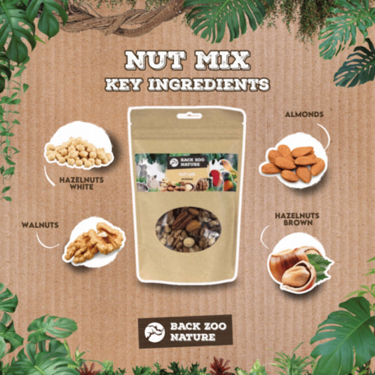 Back Zoo Nature Nut Mix 200 g – Nutritious Foraging Treat for Birds & Rodents