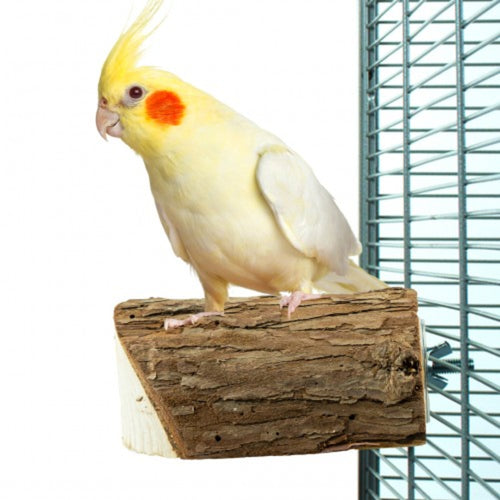 Back Zoo Nature Wood Slice Perch Small – natural bark slice resting perch for birds and rodents