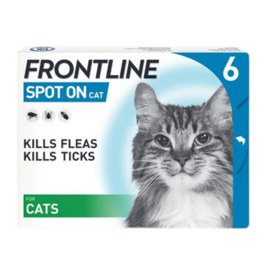 Cat Flea & Tick Treatment