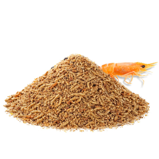 Your Parrot Insect Pâtée for Parrots & Exotic Birds